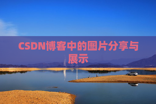 CSDN博客中的图片分享与展示